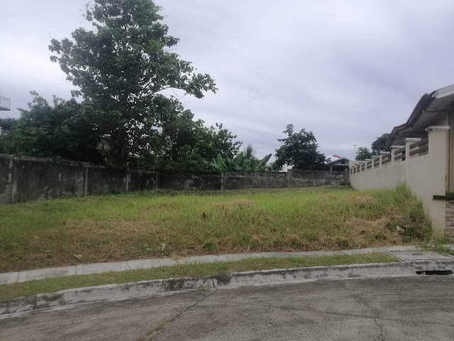 LOT Only For Sale in Molave Highlands Consolacion Cebu