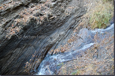 DSC_0368 DSC_0368