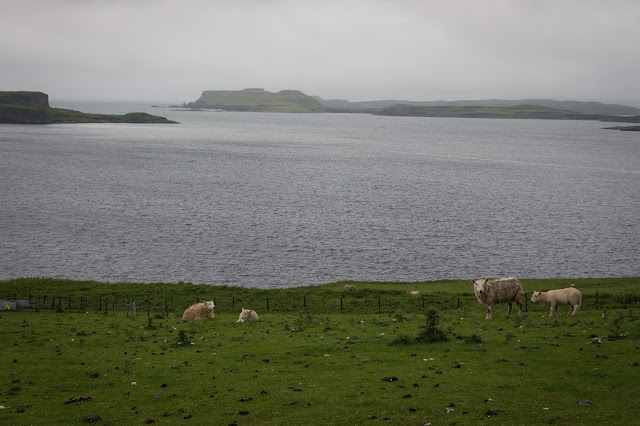 Escocia. Isla de Skye