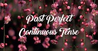  dan Contoh Kalimat Past Perfect Continuous Tense Materi, Rumus, dan Contoh Kalimat Past Perfect Continuous Tense