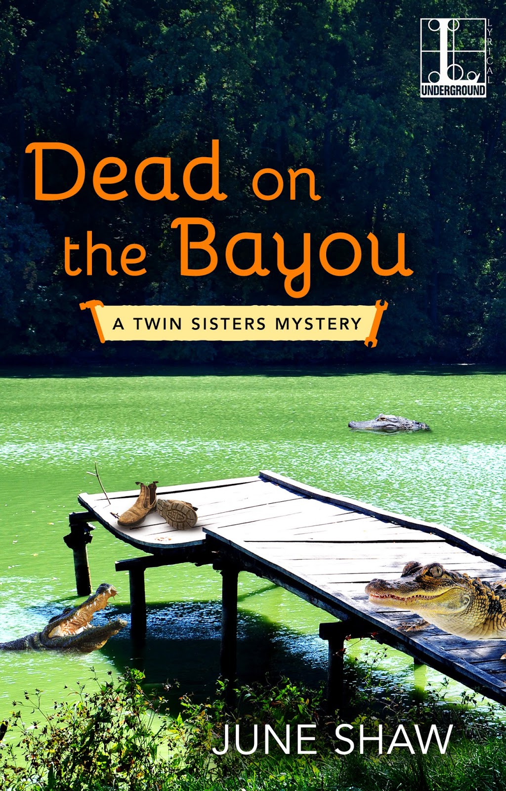 Booked On The Bayou Website Bayou Girl Uni Books No 77 John B