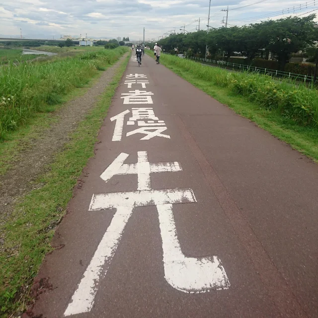 タマサイ　多摩川サイクリングロード　たまリバー50キロ