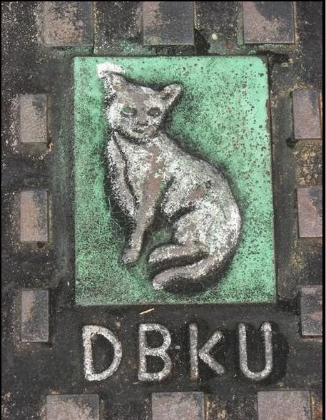 Kucing Berjanggut: DBKU Manhole