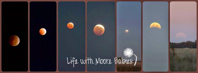 Lunar eclipse