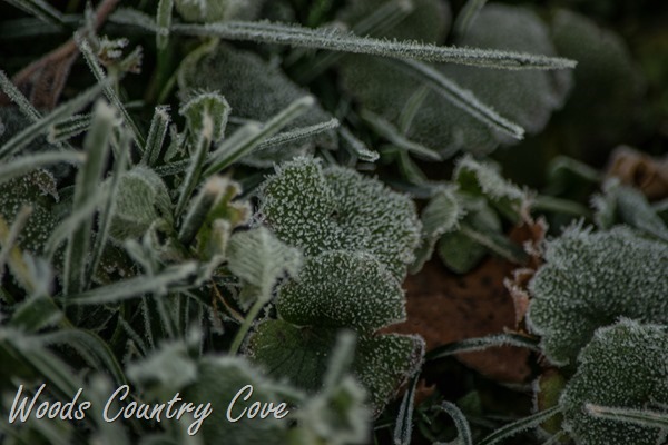 NOVEMBER 2015 (5 of 23)