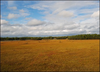 2013_08_Alaska 867