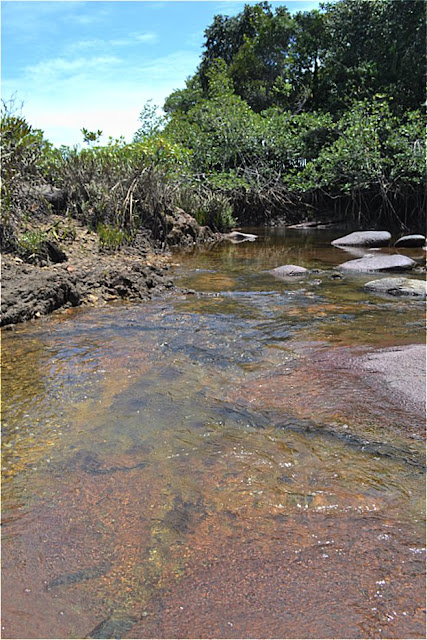 Guyane, Montsinery, crique patate