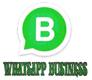 whatsapp introduced whatsapp business as stand alone application