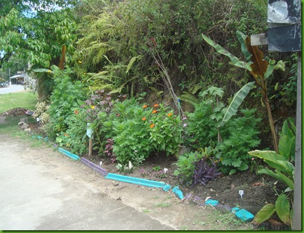DSC07972