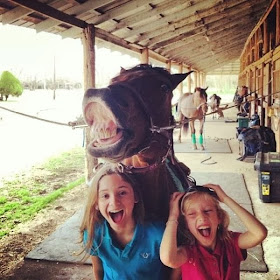 Funny animals of the week - 21 February 2014 (40 pics), two little girls take a picture with a horse