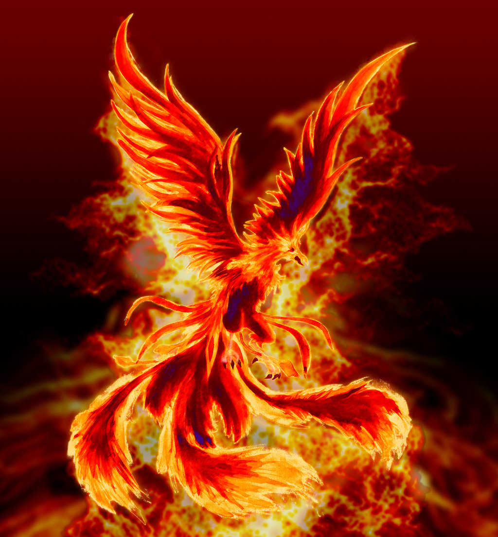 Wallpapers AVE FENIX - Taringa!