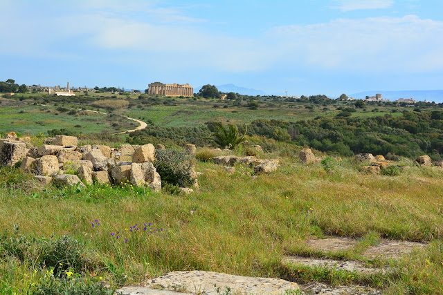 Sélinonte acropole