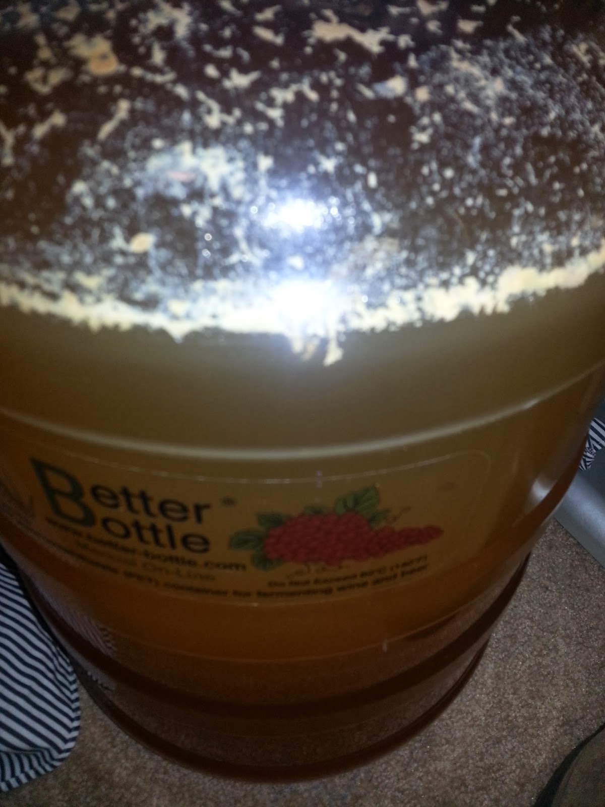 Spontaneous Fermentation Project Part 7 -- week 4 of fermentation