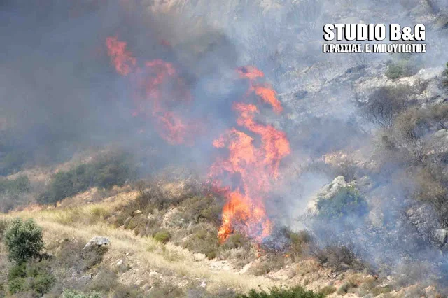 Σύλληψη από την Πυροσβεστική Ναυπλίου για εμπρησμό από αμέλεια