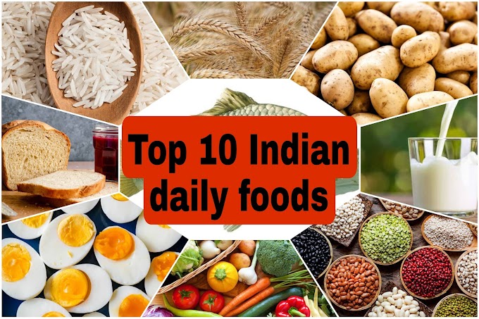  Top 10 indian food 