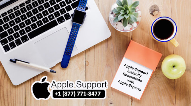 apple customer support phone number