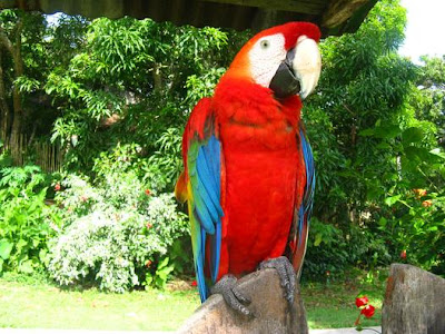 Orellana un destino turístico en Ecuador– Lugares turísticos de Ecuador