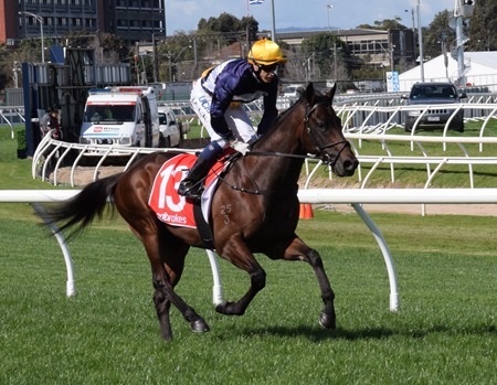 race 5_kaching 3