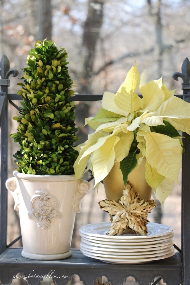 Add Christmas to a French Country plate stand with a white poinsettia