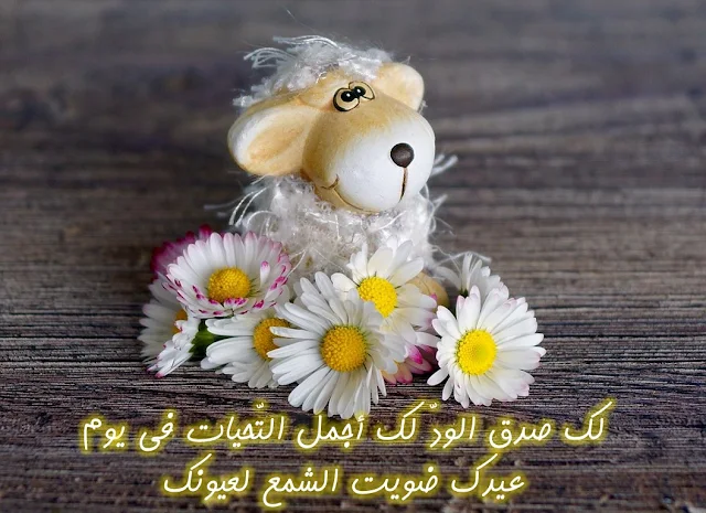 صور ورد لعيد الميللد