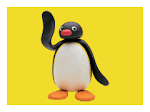 Pingu