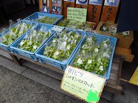 Japanese Muscat Grape street vendor Kurashiki Okayama. Tokyo Consult. TokyoConsult.