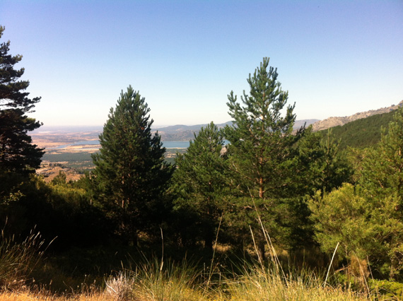 Ruta en bici por la Hoya de San Blas, julio 2012