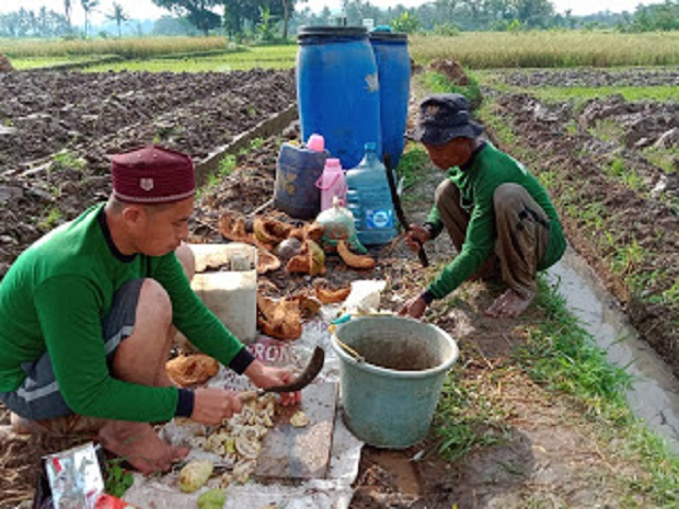 Bertani di Era Pandemi Petani Di Kab. Serang Membuat pupuk organik dan Micro organisme lokal (MOL) Mandiri