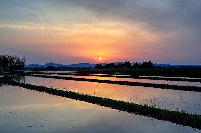 #photo #landscape #sigma #foveon #sdquattroh #japan #yamagata #tsuruoka #写真 #風景写真 #山形帝國 #山形県 #鶴岡市