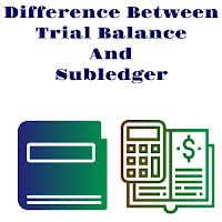 Trial Balance And Subledger In Accounting