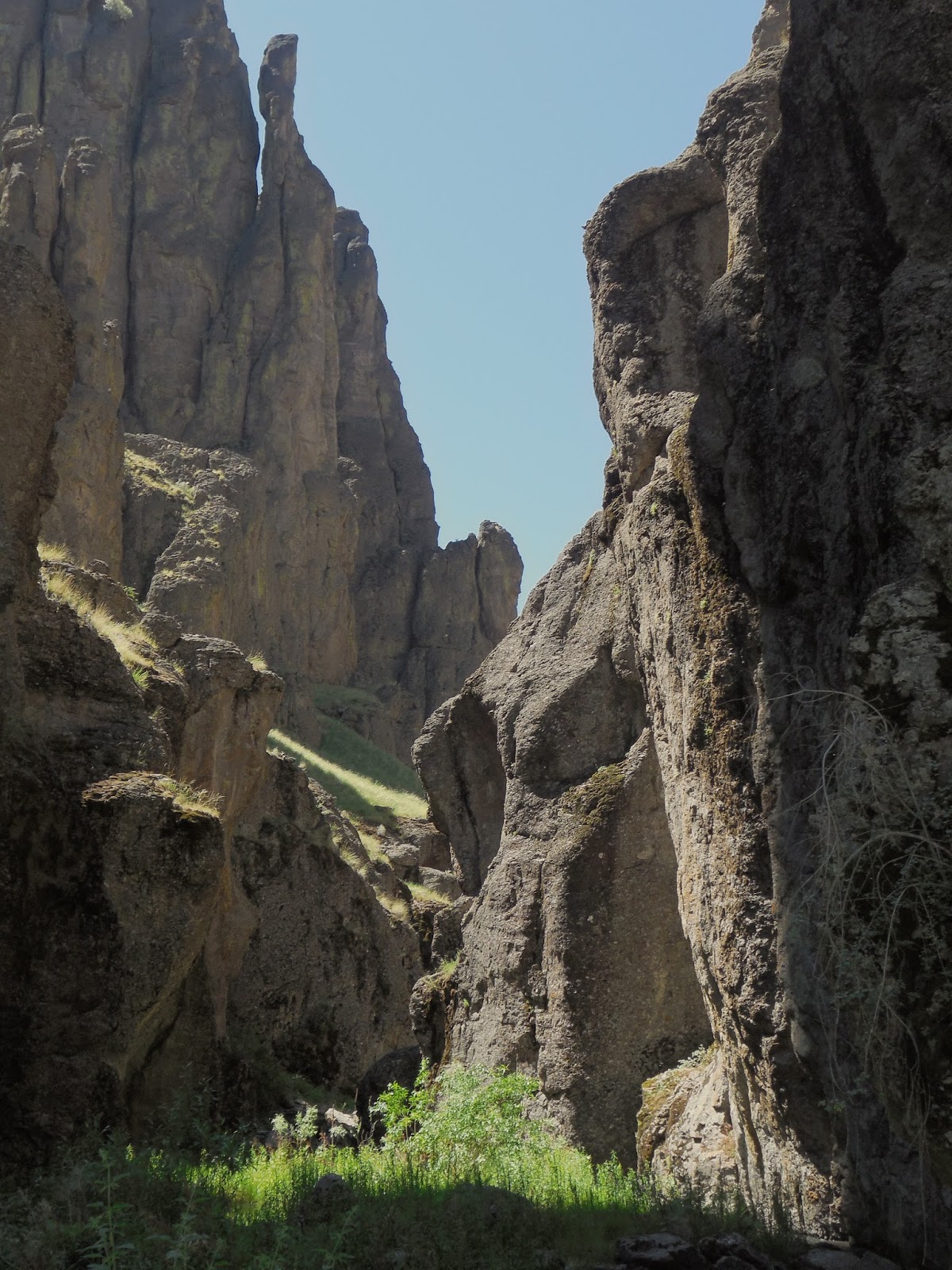 OWYHEE MIDDLE FORK