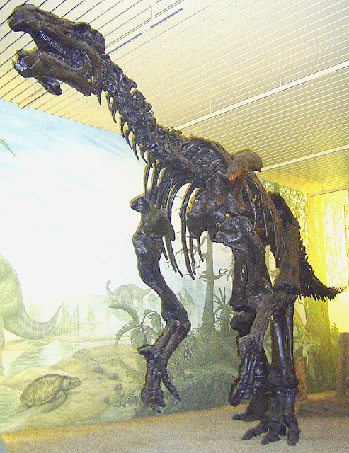 iguanodon schelet