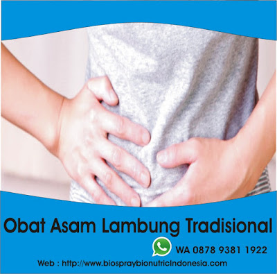 Jual Obat Asam Lambung Tradisional