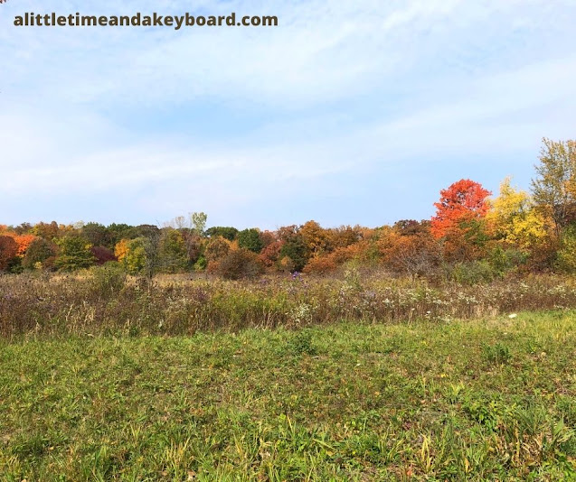 Fall colors painted an interesting tableau across Moraine Hills State Park.