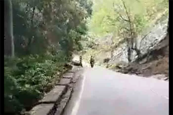 News, Kerala, Road, Killed, Video, Died, Death, Accidental Death, Accident, Malappuram, Social-Media, Kerala Youth on Road Trip Killed After Boulder Rolls Down Hill and Hits His Motorbike | Watch.