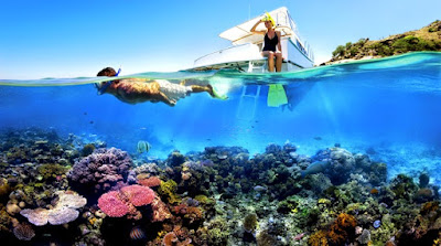  Wisata Pulau Menjangan Bali Untuk Snorkeling dan Diving Bersama Keluarga Wisata Pulau Menjangan Bali Untuk Snorkeling dan Diving Bersama Keluarga