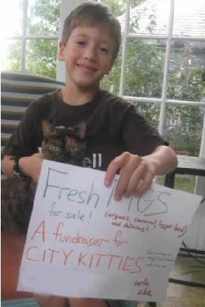 Garoto de 10 anos se dedica a ajudar gatos abandonados
