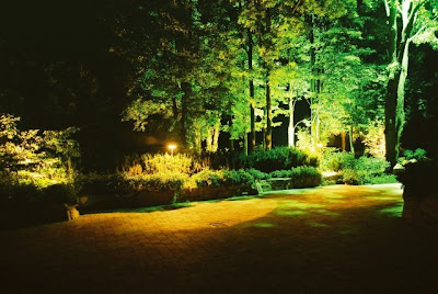 Outdoor Landscape Lighting2