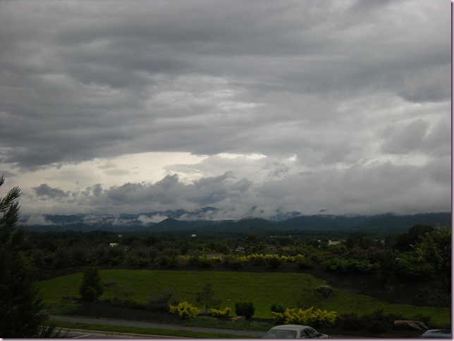 DSCN5007