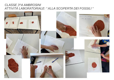 attività laboratoriale della classe 3A Ambrosini “Alla scoperta dei fossili “.