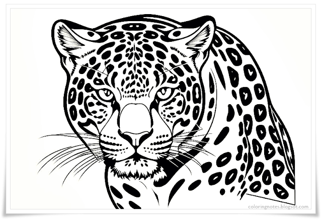 Jaguar Coloring Pages, Jaguar Cub, Jaguar Animal, Baby Jaguar, Coloring, Sheet, Printable, Free