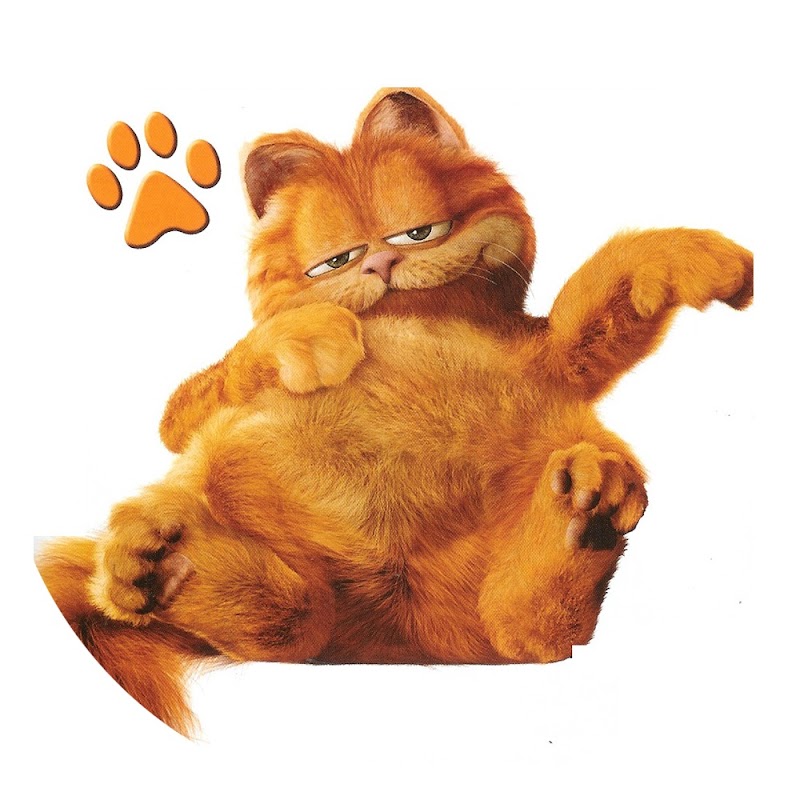 Konsep Top Gambar Kucing Garfield, Tato Kucing