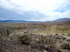 IMG_3326