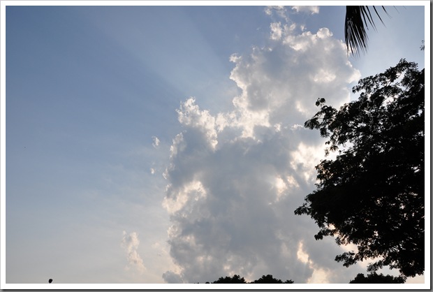 DSC_0260 DSC_0260