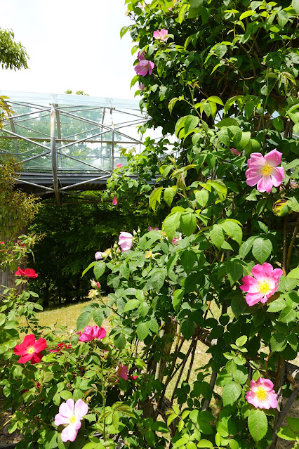 鳥取県西伯郡南部町鶴田 とっとり花回廊