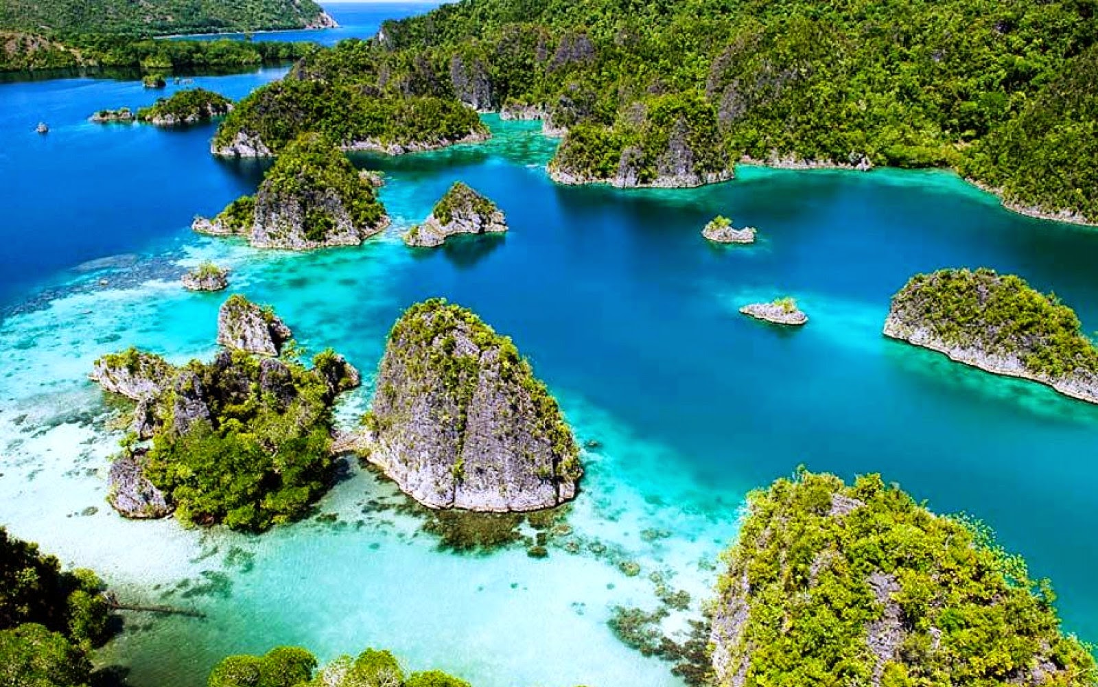  Raja  Ampat  Surga dibawah Laut  Indonesia Tika Putri s Blog