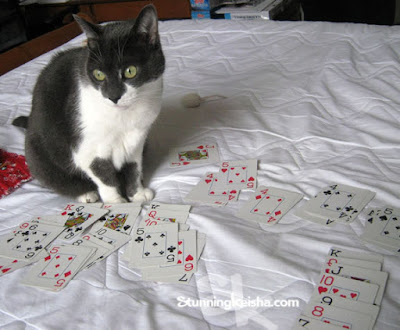 Cats and the Value of Solitaire