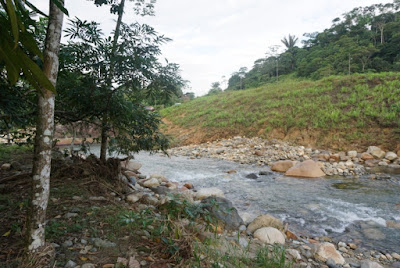 Turismo en Ecuador – Cabañas Sapo Rumi Tena Ecuador