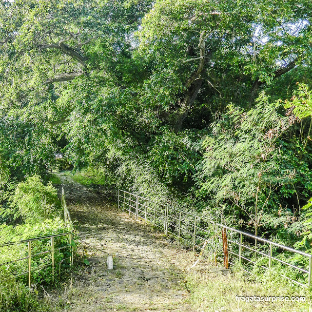 Trilha para o Forte dos Remédios em Fernando de Noronha