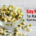 Risks Associated With Eating Raw Sprouts